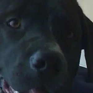 Profile photo of JOSE