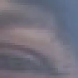 Profile photo of Carmelo
